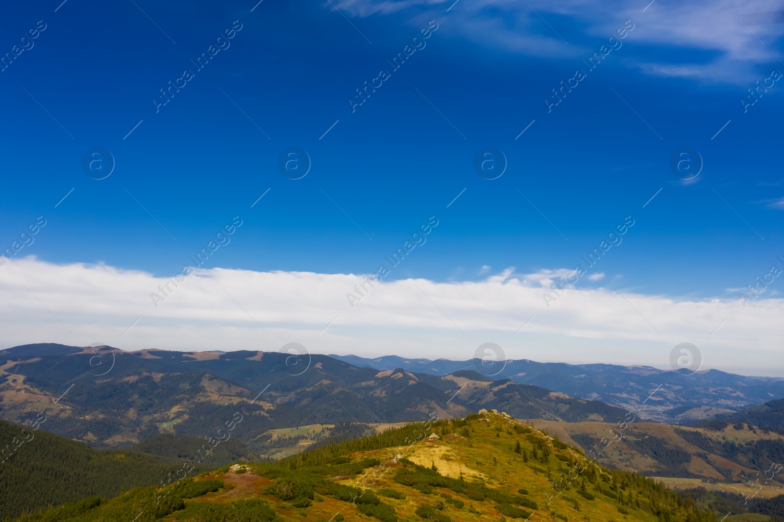 Image of Beautiful mountain landscape with forest on sunny day. Drone photography