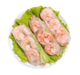 Tasty spring rolls served with lettuce on white background, top view