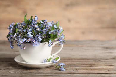 Photo of Beautiful forget-me-not flowers in cup and saucer on wooden table, closeup. Space for text