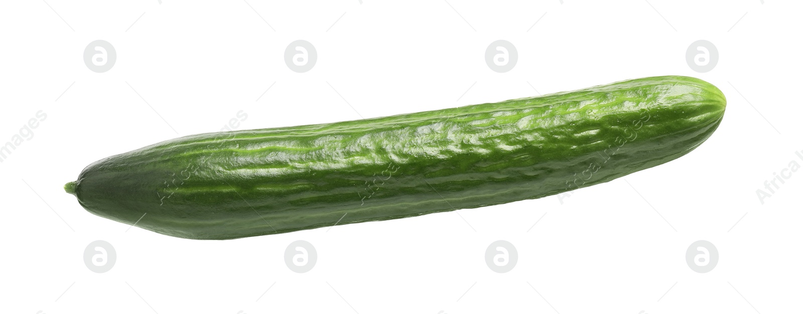 Photo of One long fresh cucumber isolated on white