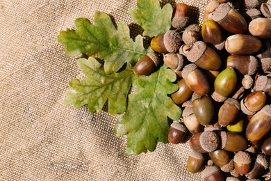 Photo of Pile of acorns and oak leaves on sack, top view. Space for text