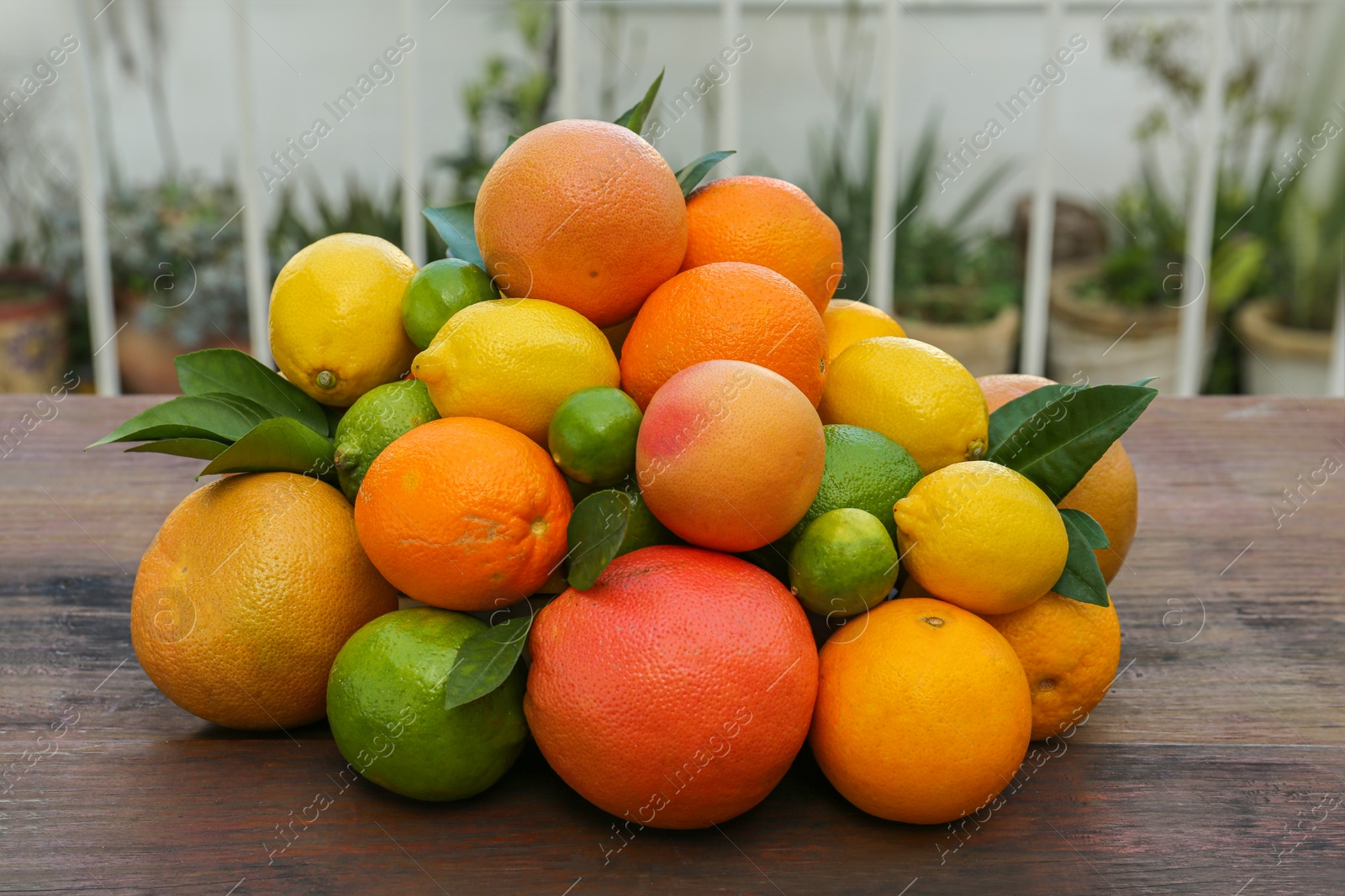 Photo of Different fresh citrus fruits on wooden table