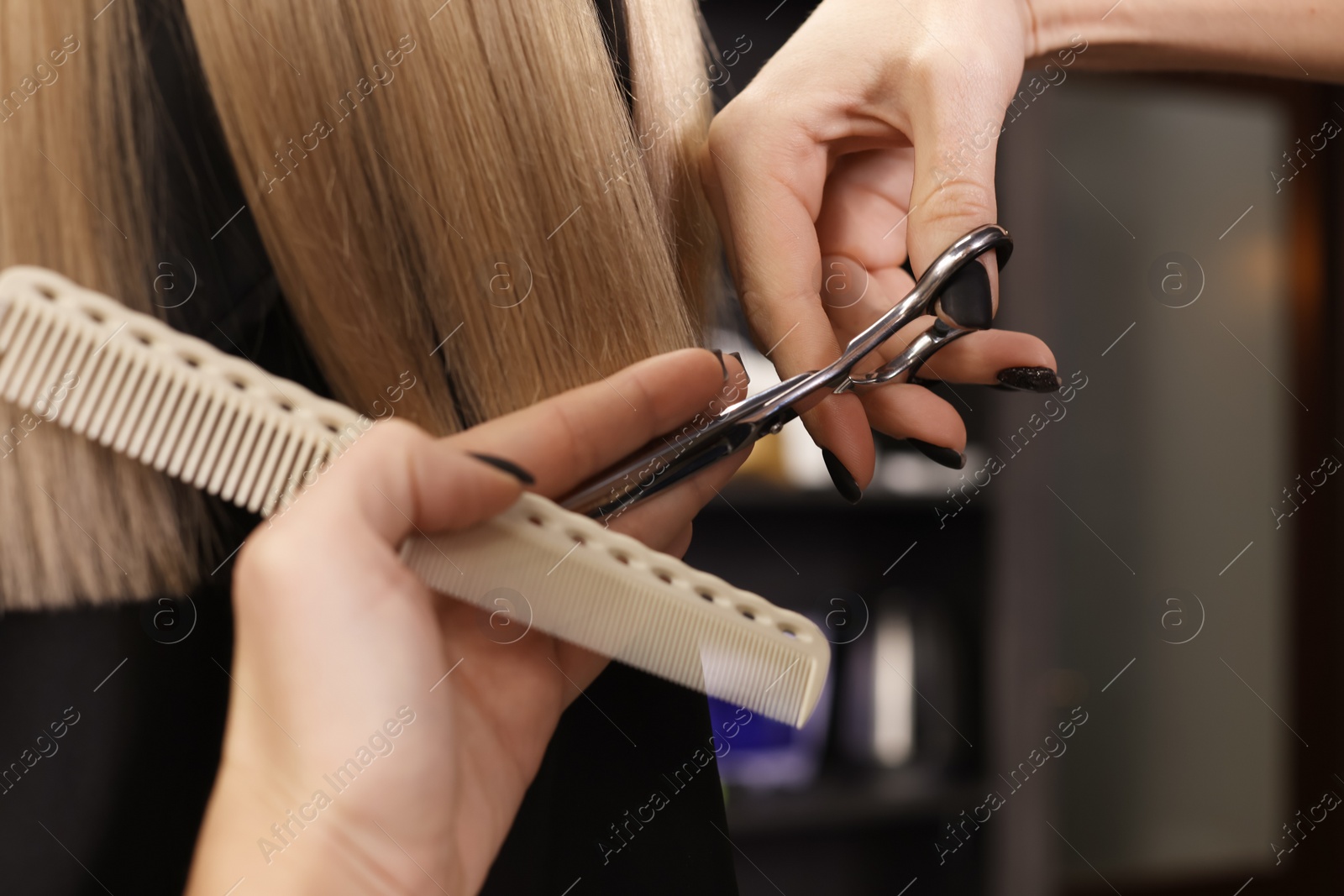 Photo of Professional hairdresser cutting woman's hair in salon, closeup