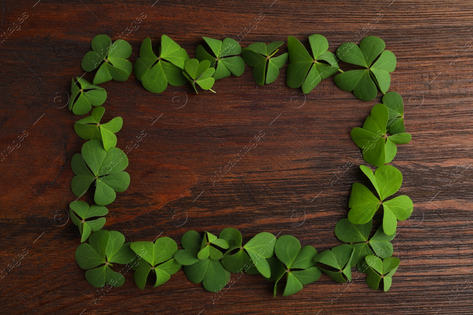 Photo of Frame of clover leaves on wooden table, top view with space for text. St. Patrick's Day symbol
