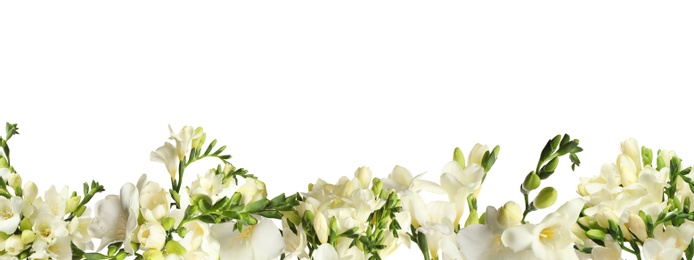 Set with beautiful fragrant freesia flowers on white background. Banner design