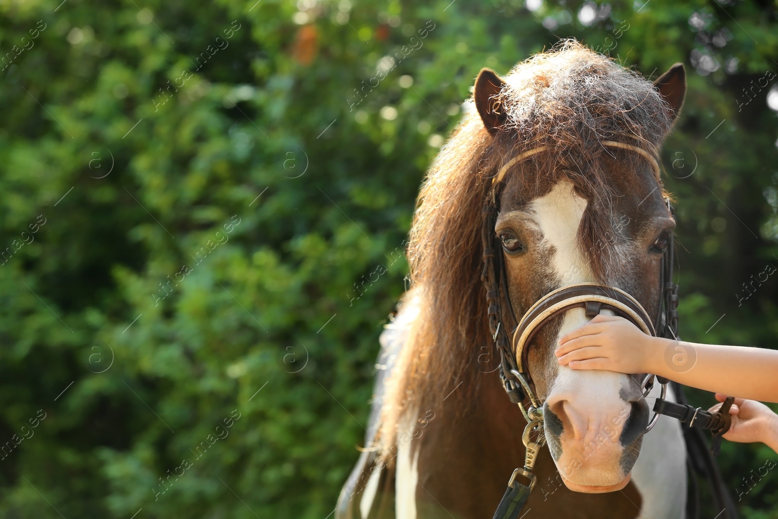 Photo of Little girl stroking her pony in green park, closeup