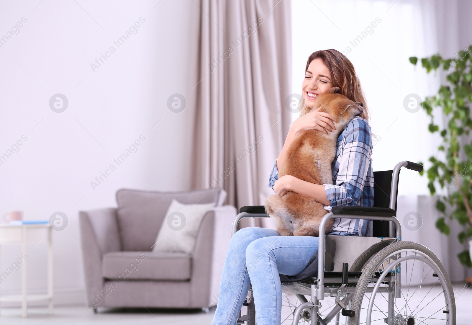 Photo of Young woman in wheelchair with puppy at home