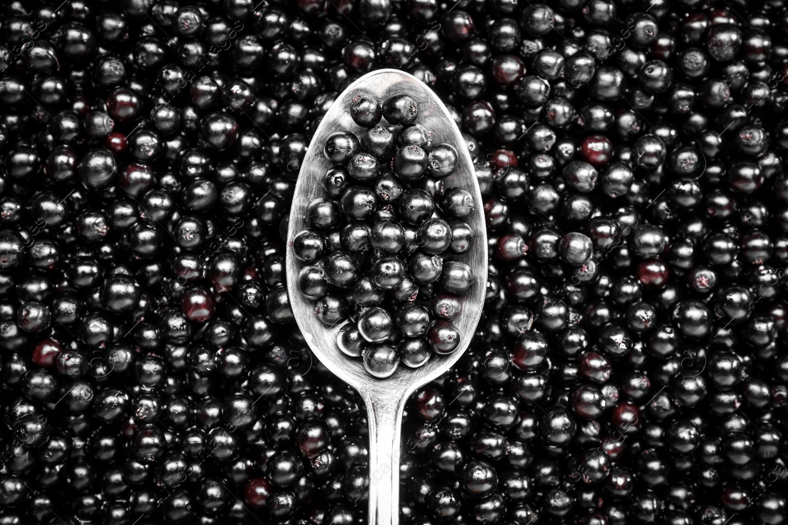 Photo of Spoon and many elderberries (Sambucus) as background, top view