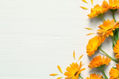 Photo of Beautiful fresh calendula flowers on white wooden table, flat lay. Space for text