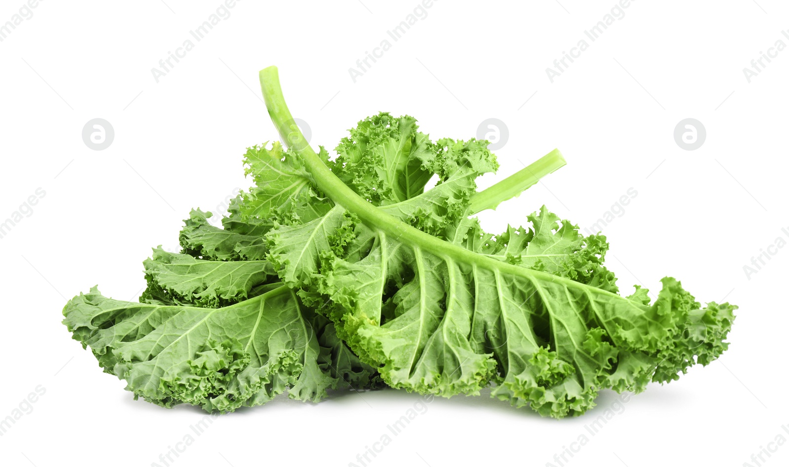 Photo of Fresh green kale leaves isolated on white