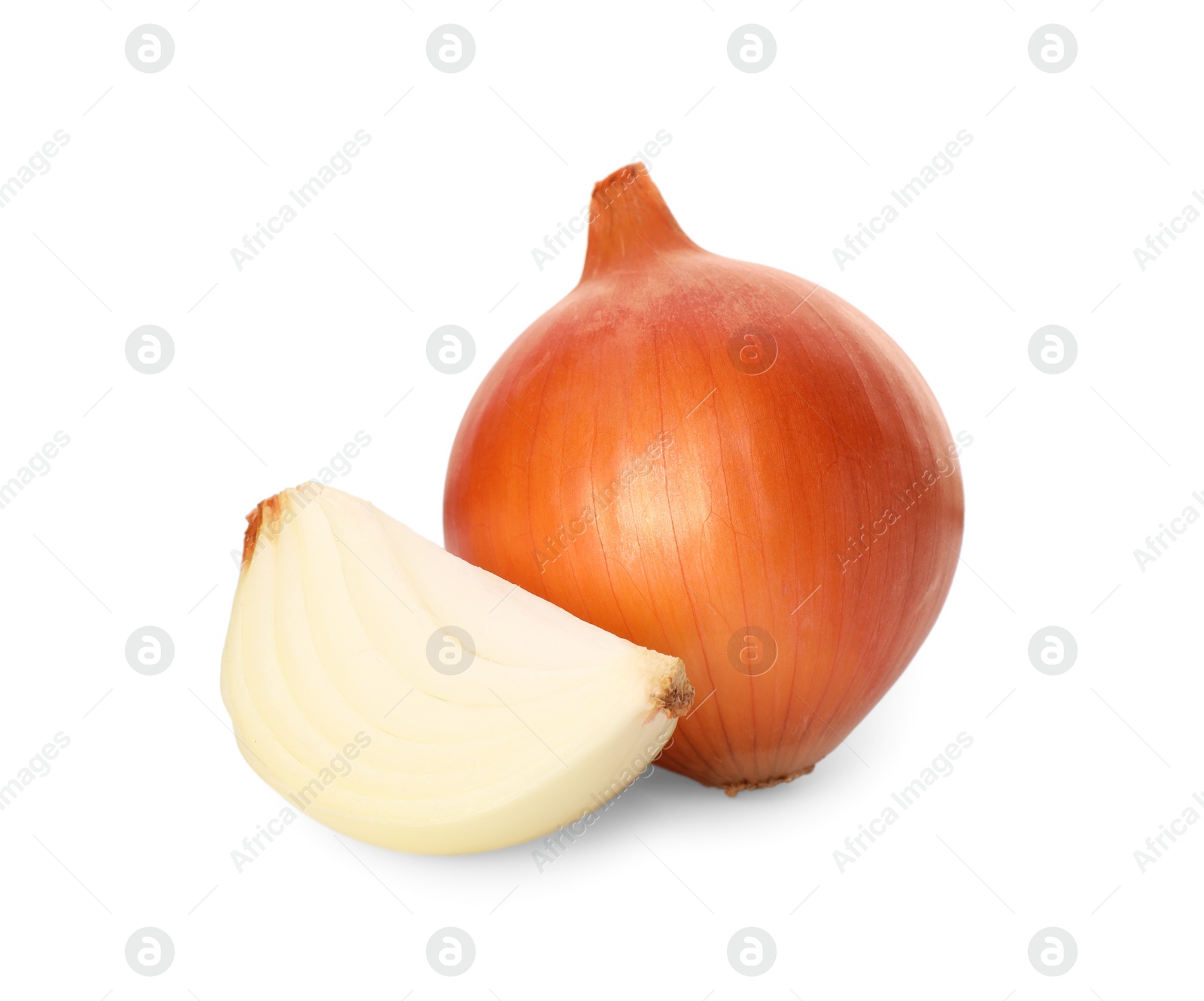 Photo of Whole and cut onions on white background