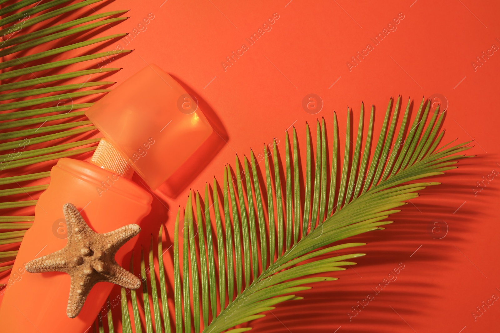 Photo of Sunscreen, starfish and tropical leaves on coral background, flat lay. Sun protection care