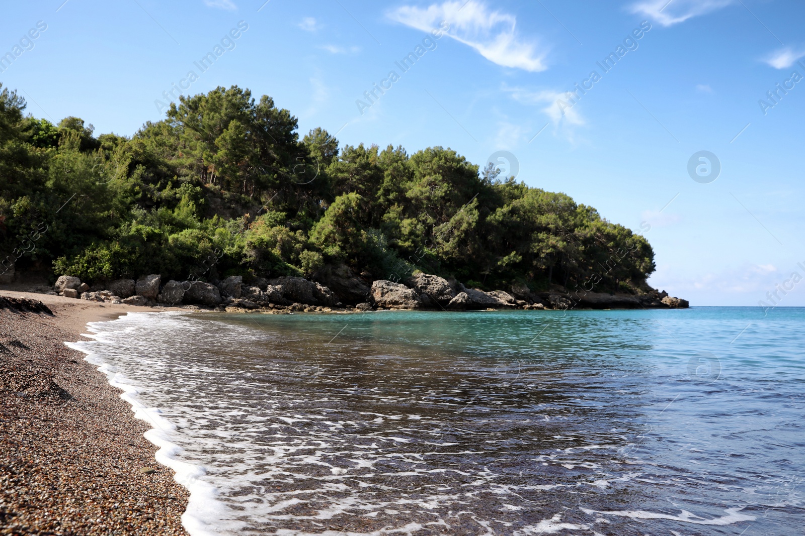 Photo of Beautiful sea beach near rocky hill with forest on sunny summer day