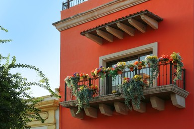 Photo of Building with beautiful window, balcony and potted flowers