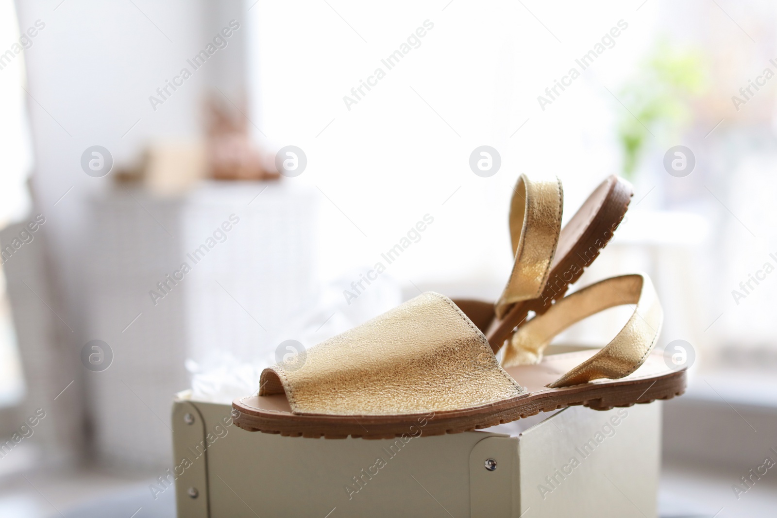 Photo of Female shoes on pouf in store