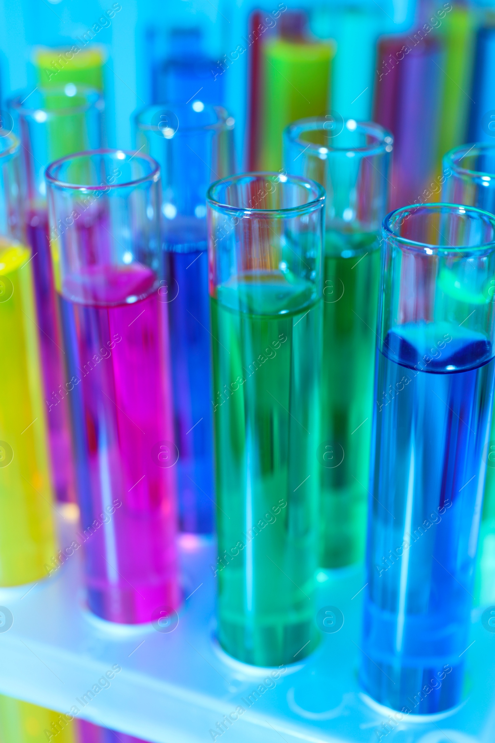 Photo of Many test tubes with colorful liquids on light blue background, closeup