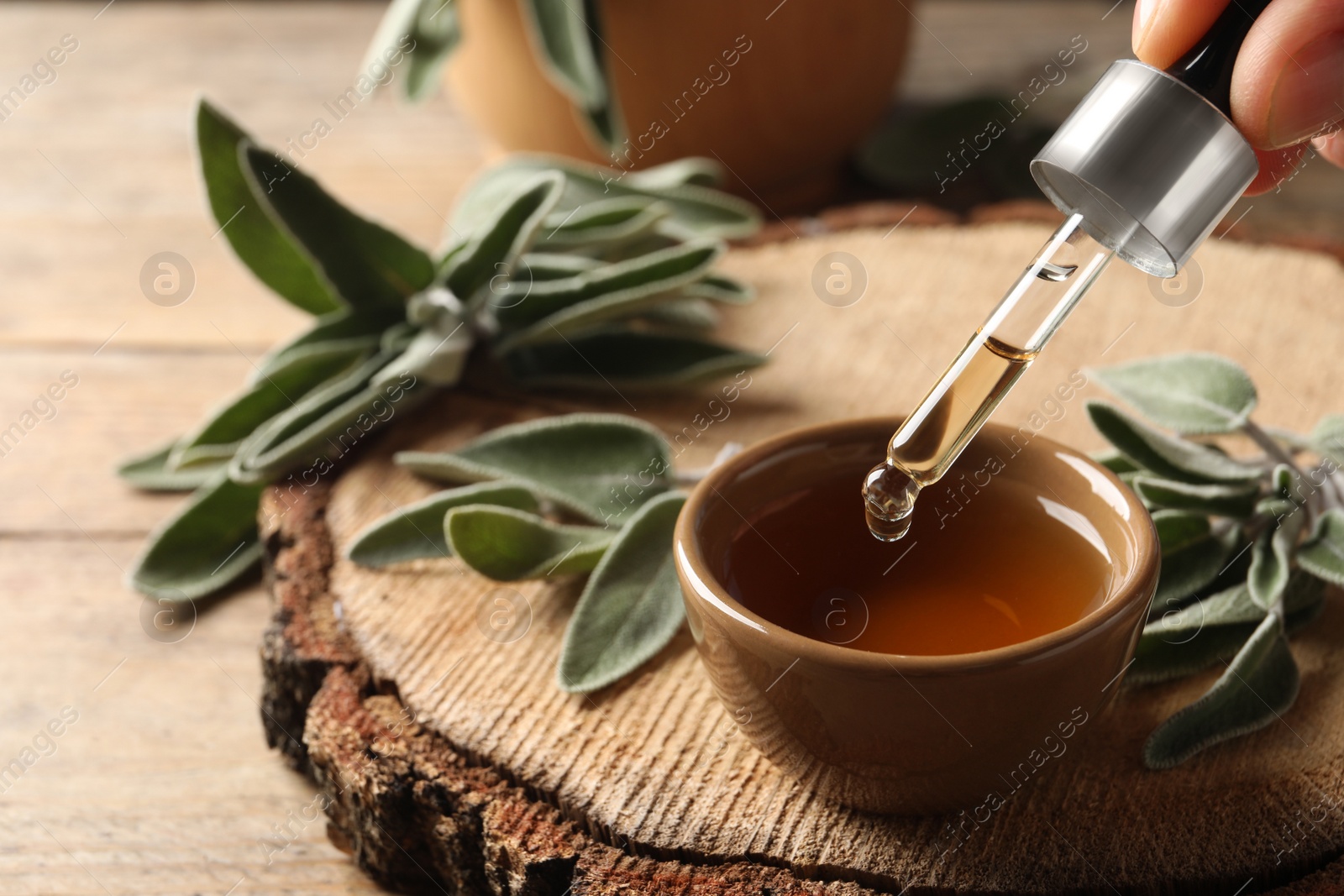 Photo of Woman dropping essential sage oil into bowl at wooden table, closeup. Space for text