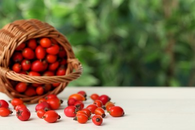Photo of Ripe rose hip berries with overturned basket on white wooden table outdoors. Space for text