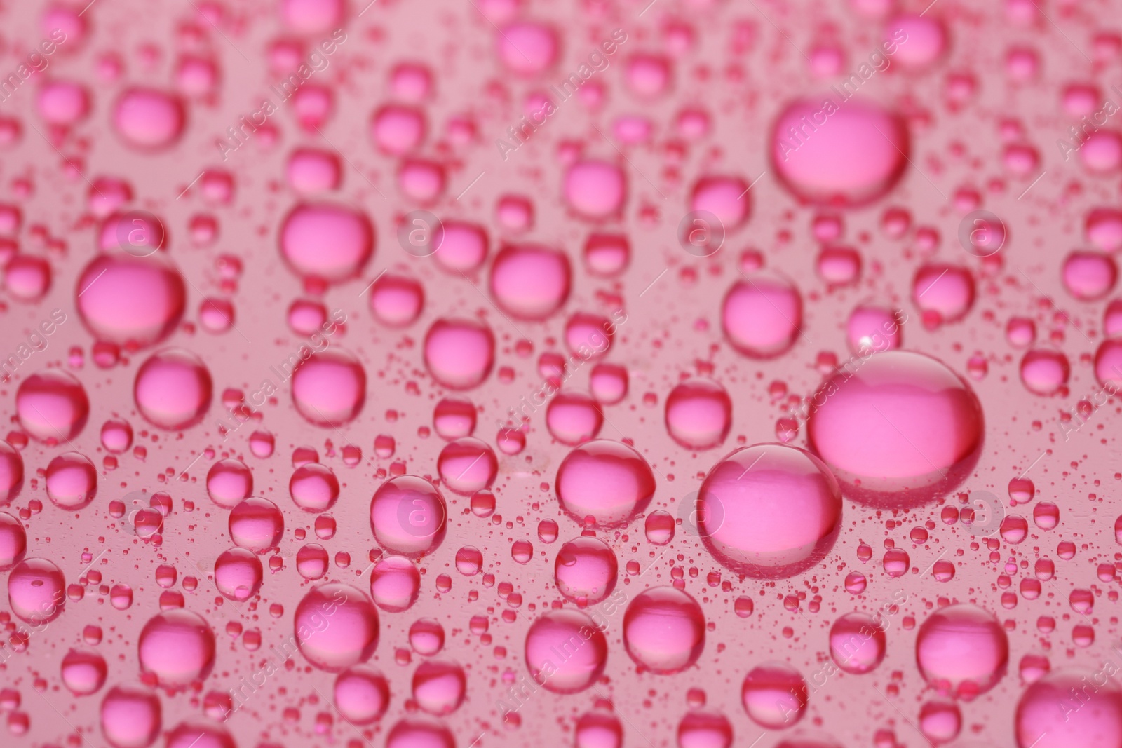 Photo of Water drops on pink background, closeup view