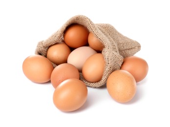 Photo of Fresh chicken eggs in burlap sack isolated on white