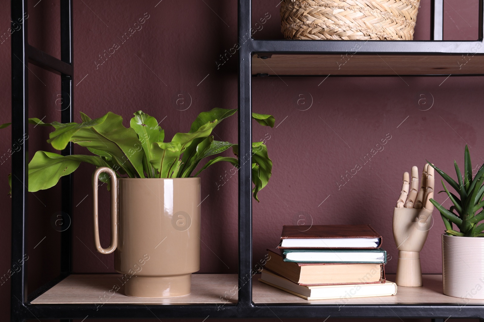 Photo of Stylish ceramic vase with green leaves, books and decor on shelf near brown wall