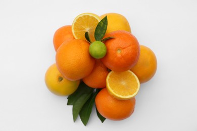 Photo of Different citrus fruits and leaves on white background, top view