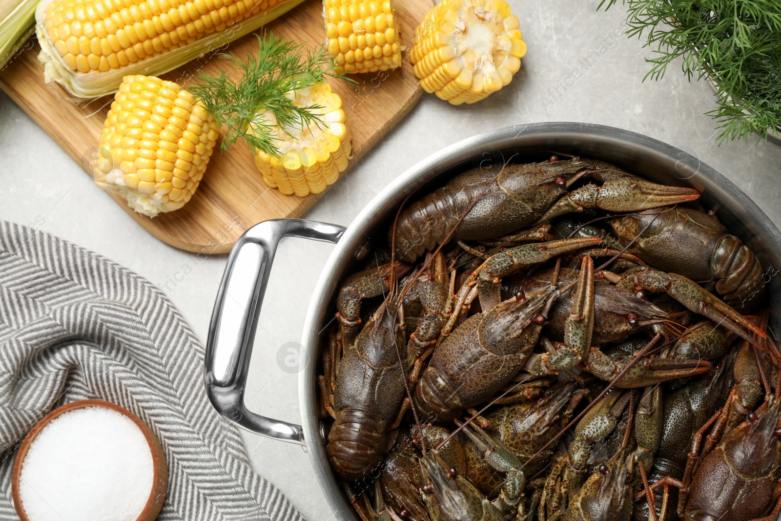 Photo of Fresh raw crayfishes in pot on grey table, flat lay