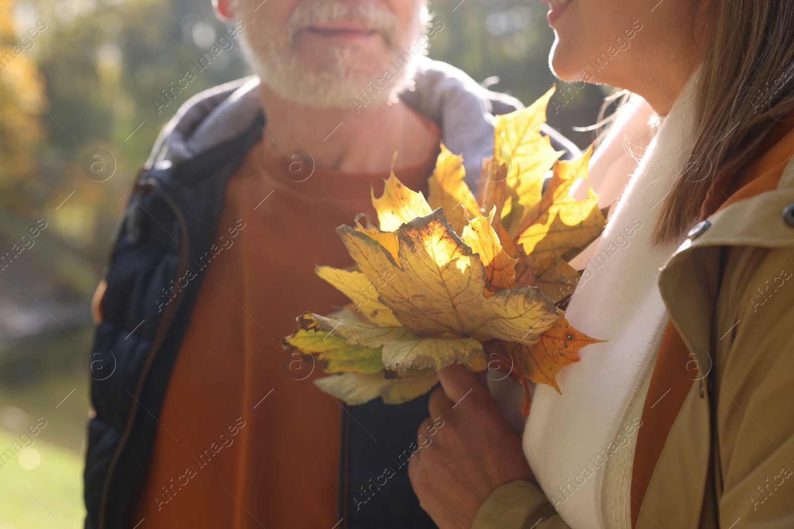 Photo of Senior couple with autumn dry leaves outdoors, closeup