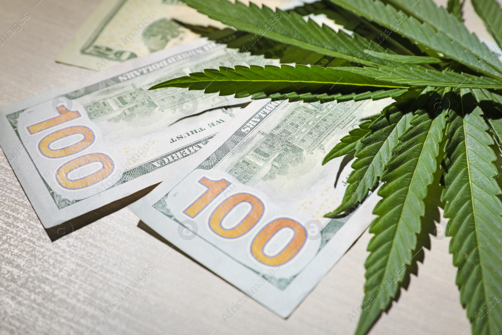 Photo of Green hemp leaves and money on wooden table, closeup