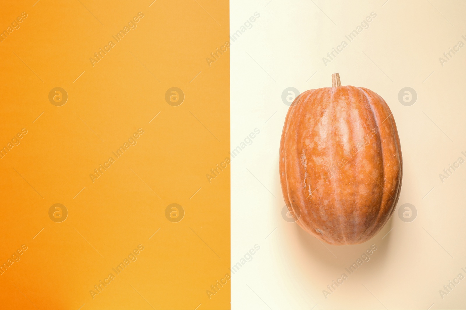 Photo of Pumpkin and space for text on color background, top view. Autumn holidays