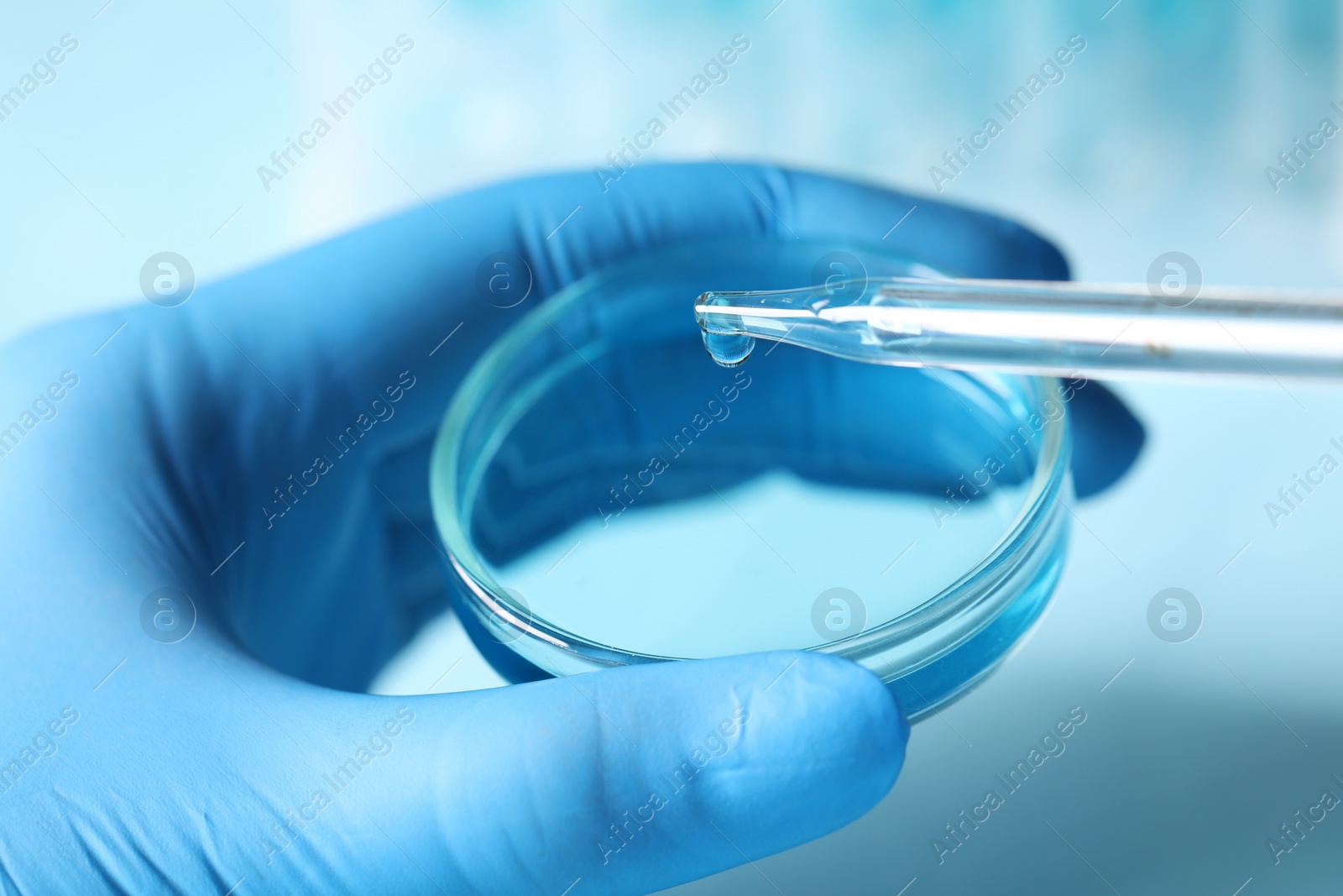 Photo of Doctor dripping liquid from pipette into petri dish on light blue background, closeup. Laboratory analysis