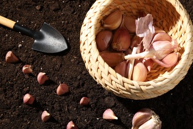 Photo of Garlic cloves, wicker bowl and shovel on fertile soil, flat lay. Vegetable planting
