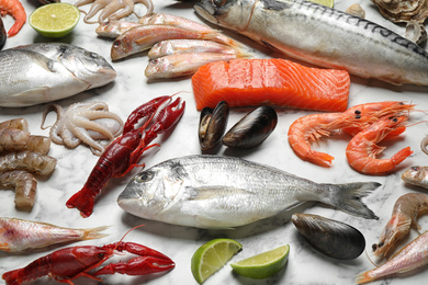 Photo of Fresh fish and different seafood on white marble table