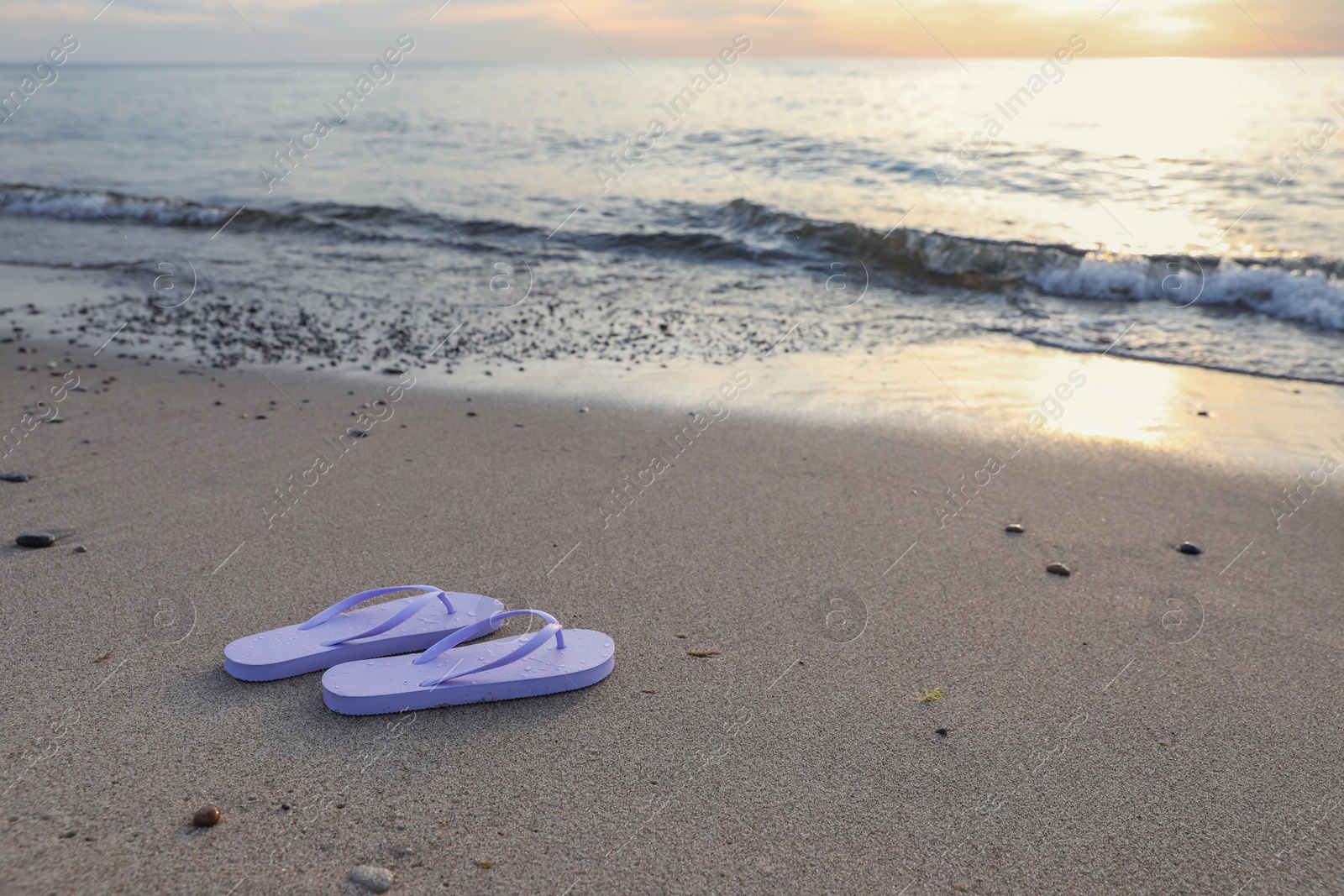 Photo of Stylish lilac flip flops on sand near sea. Space for text