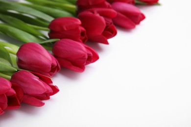 Photo of Many beautiful tulips on white background. Space for text