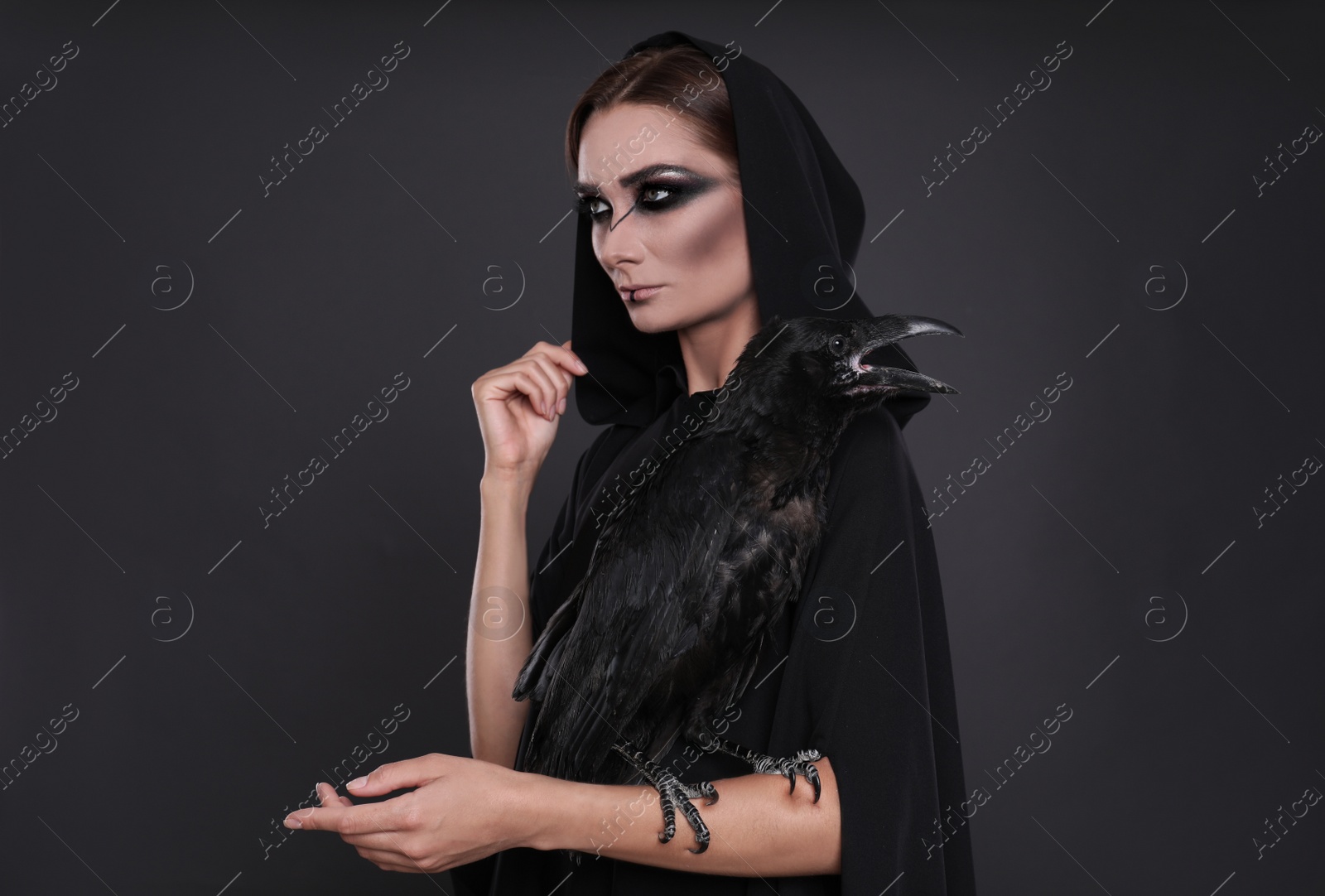 Photo of Mysterious witch with raven on black background