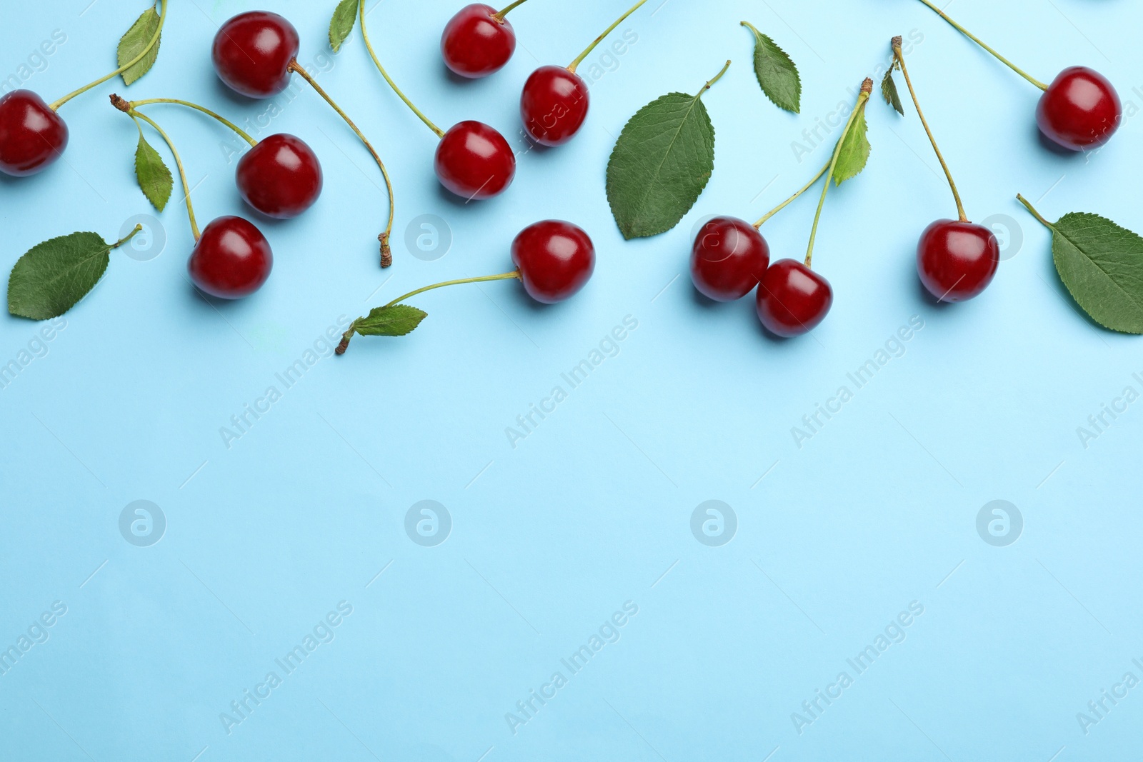 Photo of Tasty ripe cherries with leaves on light blue background, flat lay. Space for text