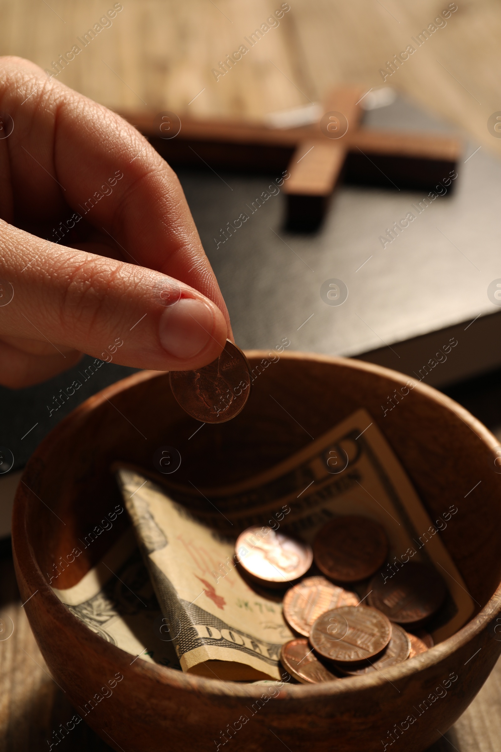 Photo of Donate and give concept. Woman putting coin into bowl with money at table, closeup