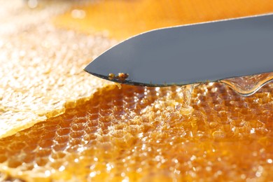 Photo of Uncapped comb with knife and fresh sweet honey, closeup