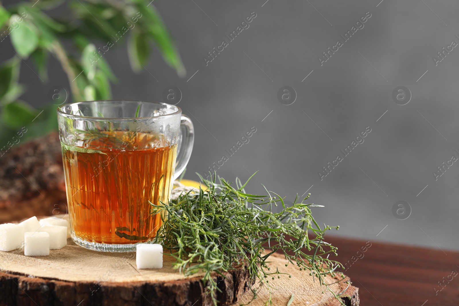 Photo of Aromatic herbal tea, fresh tarragon sprigs and sugar cubes on table. Space for text