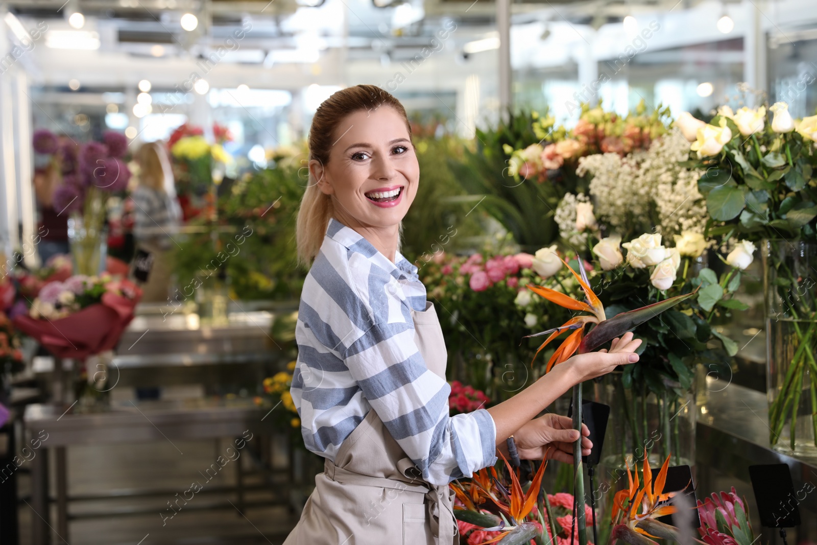 Photo of Beautiful female florist working in flower shop