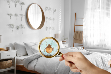 Image of Woman with magnifying glass detecting bed bug, closeup
