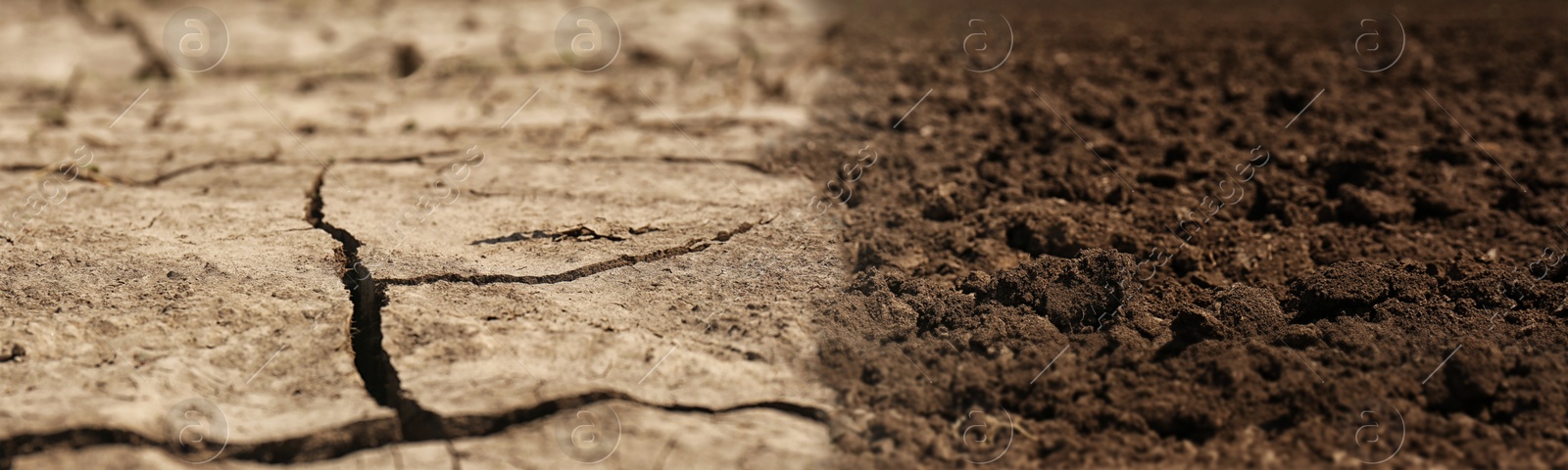 Image of Dry cracked ground and fertile soil, banner design