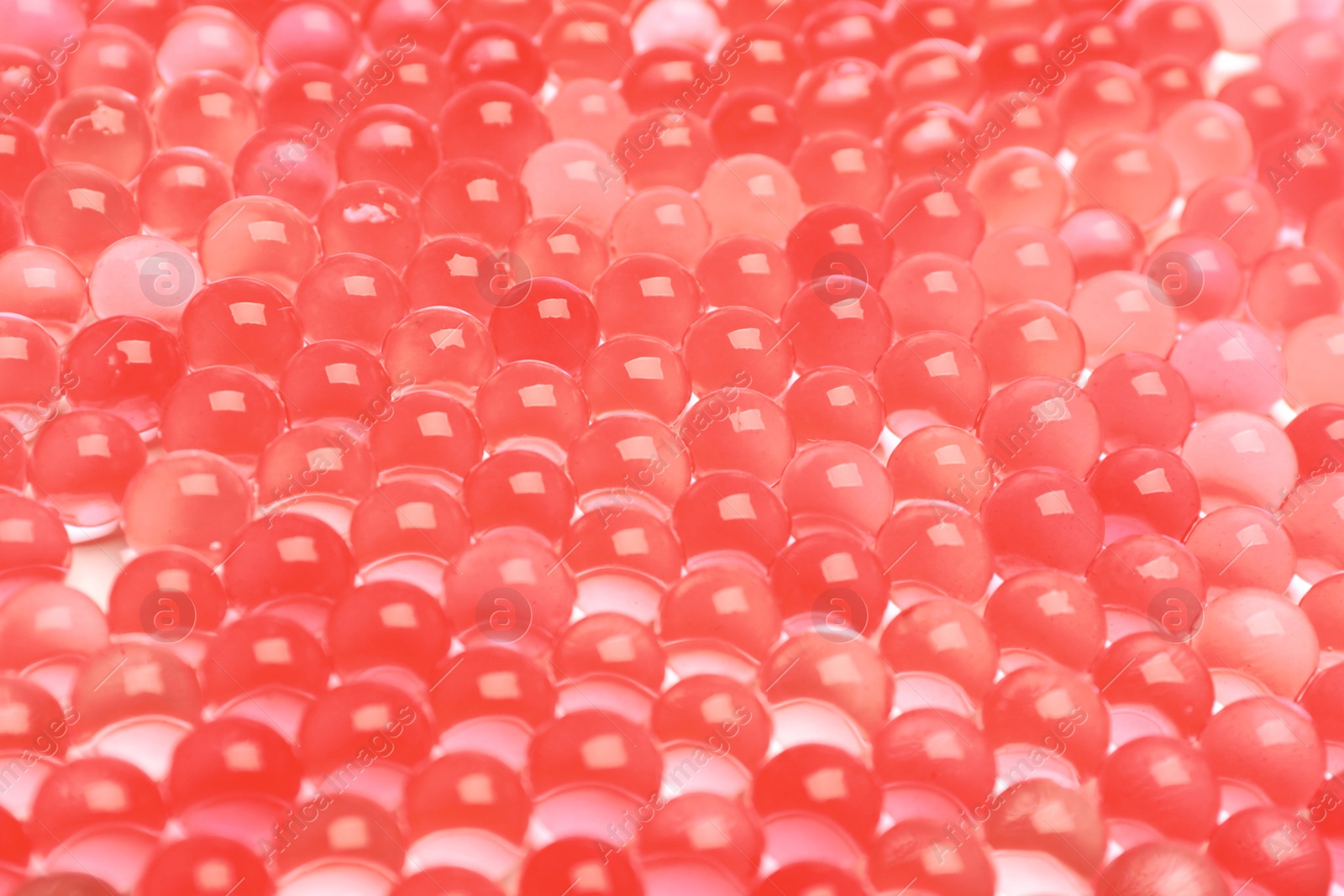 Photo of Closeup view of red vase filler as background. Water beads