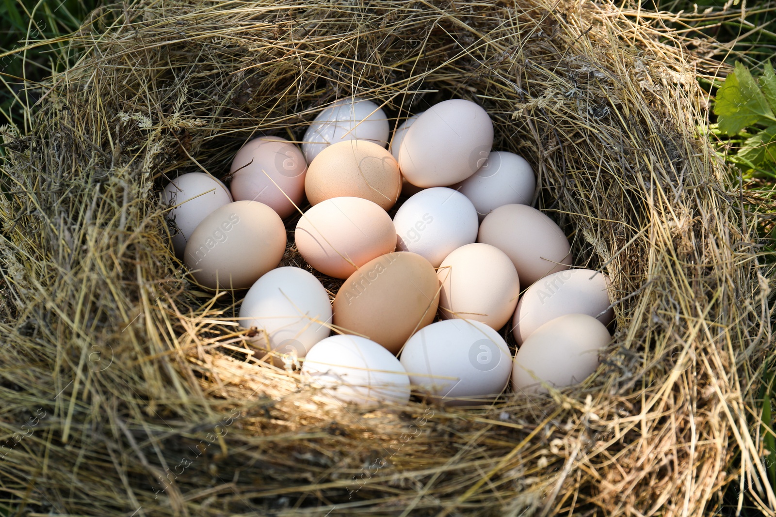 Photo of Fresh raw chicken eggs in straw nest