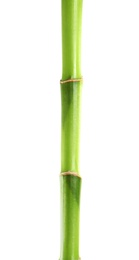 Photo of Beautiful green bamboo stem on white background