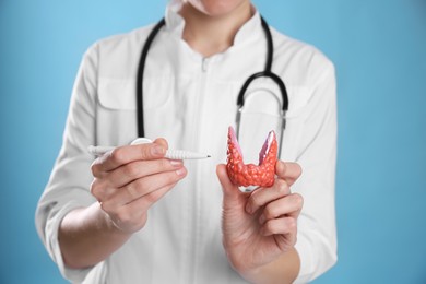 Photo of Doctor holding plastic model of afflicted thyroid on light blue background, closeup