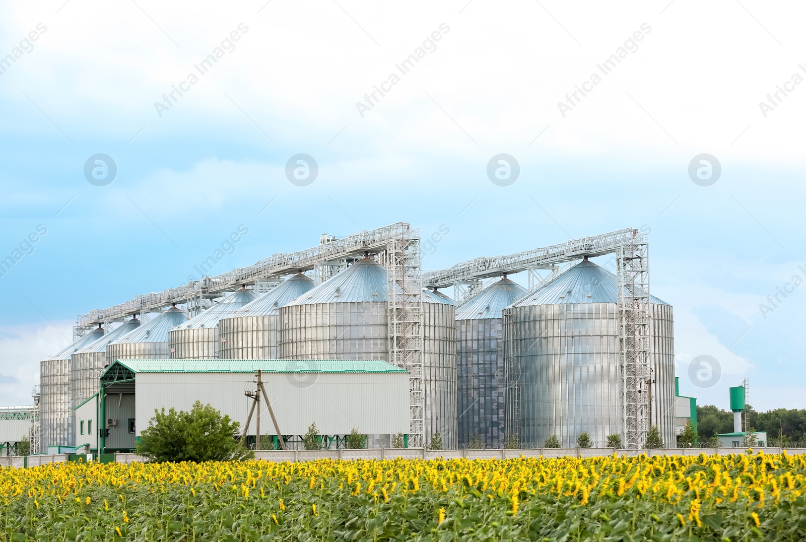 Photo of Row of modern granaries for storing cereal grains in field