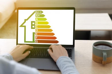 Image of Energy efficiency rating on display. Woman using laptop at table, closeup