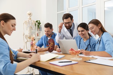 Photo of Doctor and interns using laptop in university